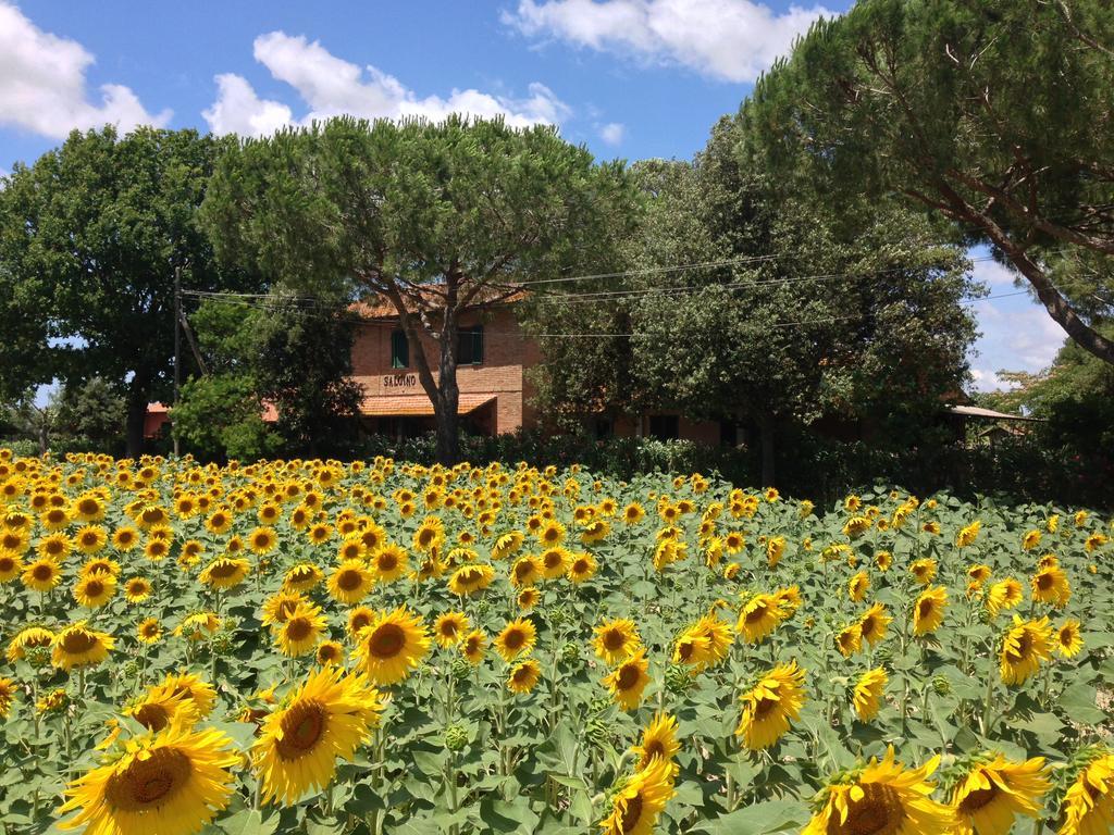 Agriturismo Salcino Villa Grosseto Luaran gambar